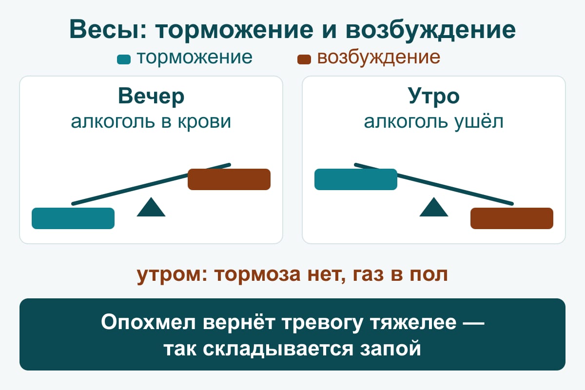 Схема: двое весов — вечером алкоголь в крови и чаша торможения перевешивает, утром алкоголь ушёл и чаша возбуждения резко вниз: тормоза нет, газ в пол